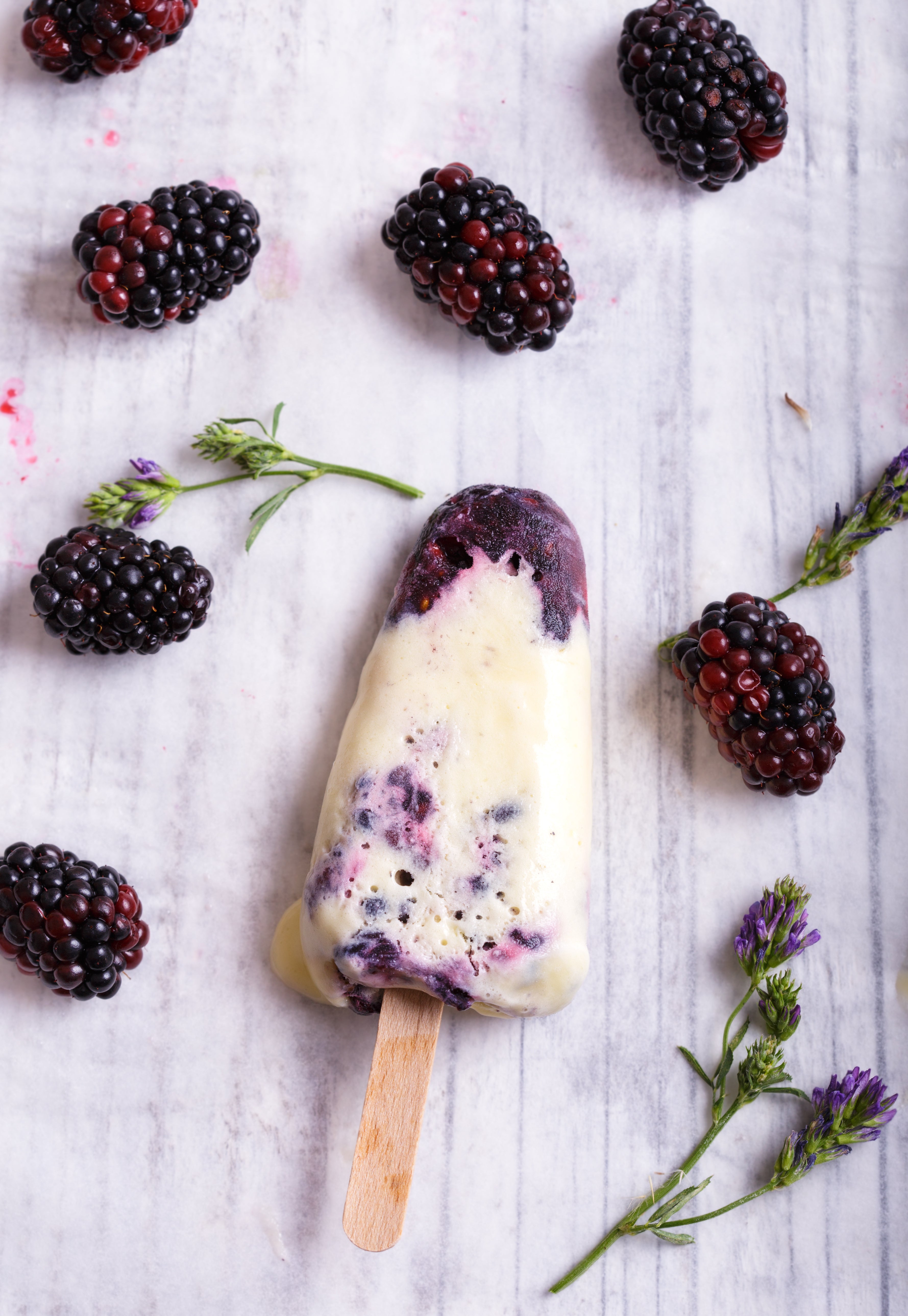 Blackberry Protein Popsicles