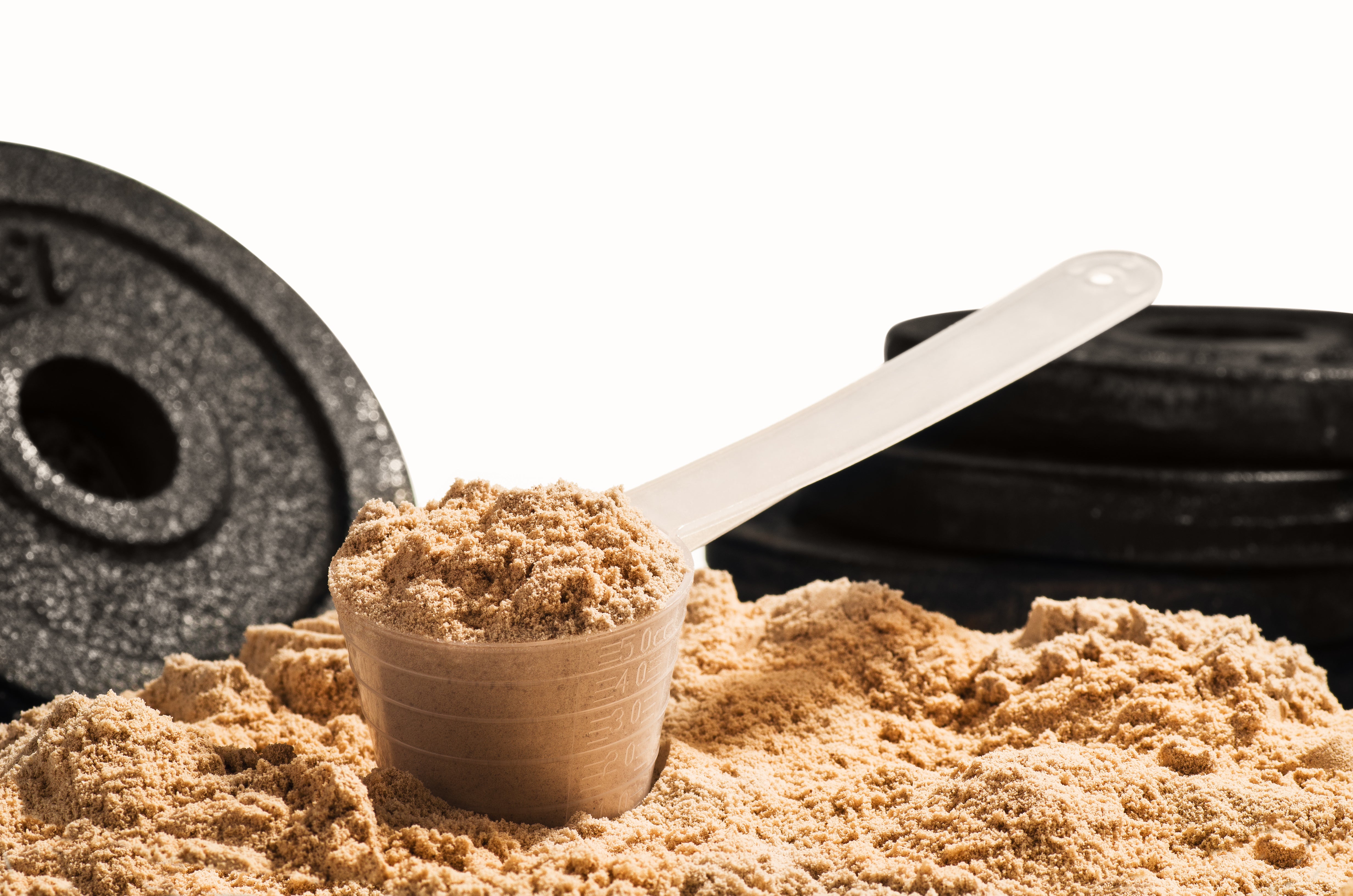 Everything You Need to Know About Whey Good!